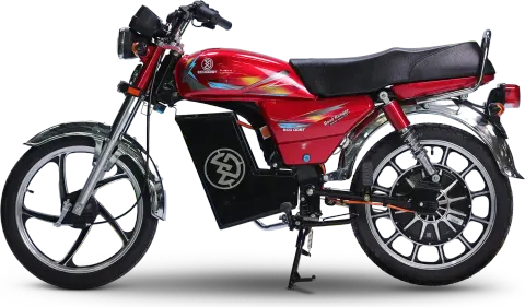 EcoDost ED-100 Road Ranger